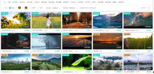爆料视频素材下载网站,一键下载,轻松获取热门资讯! 第3张 爆料视频素材下载网站,一键下载,轻松获取热门资讯! 第3张